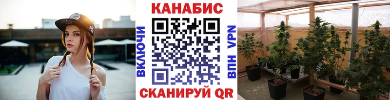 Виды наркотиков купить Отрадное АМФЕТАМИН  Каннабис  МЕФ  A PVP  Псилоцибиновые грибы  Cocaine  ГАШ 