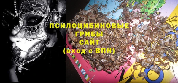 индика Пролетарск