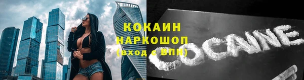 индика Пролетарск