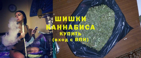 индика Пролетарск