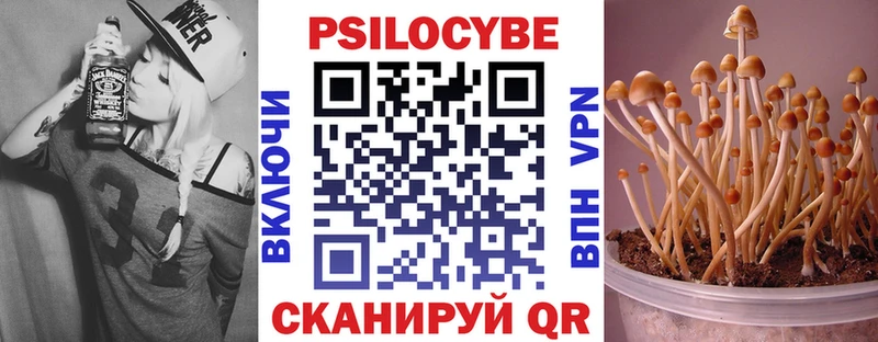 Псилоцибиновые грибы Psilocybine cubensis  Отрадное 