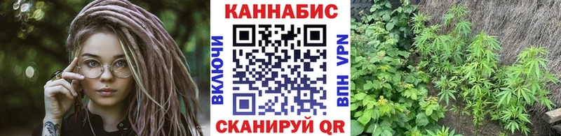 даркнет клад  Отрадное  МАРИХУАНА VHQ 